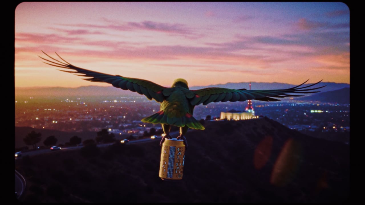 A parrot carrying a Calidad can over a city at sunset.